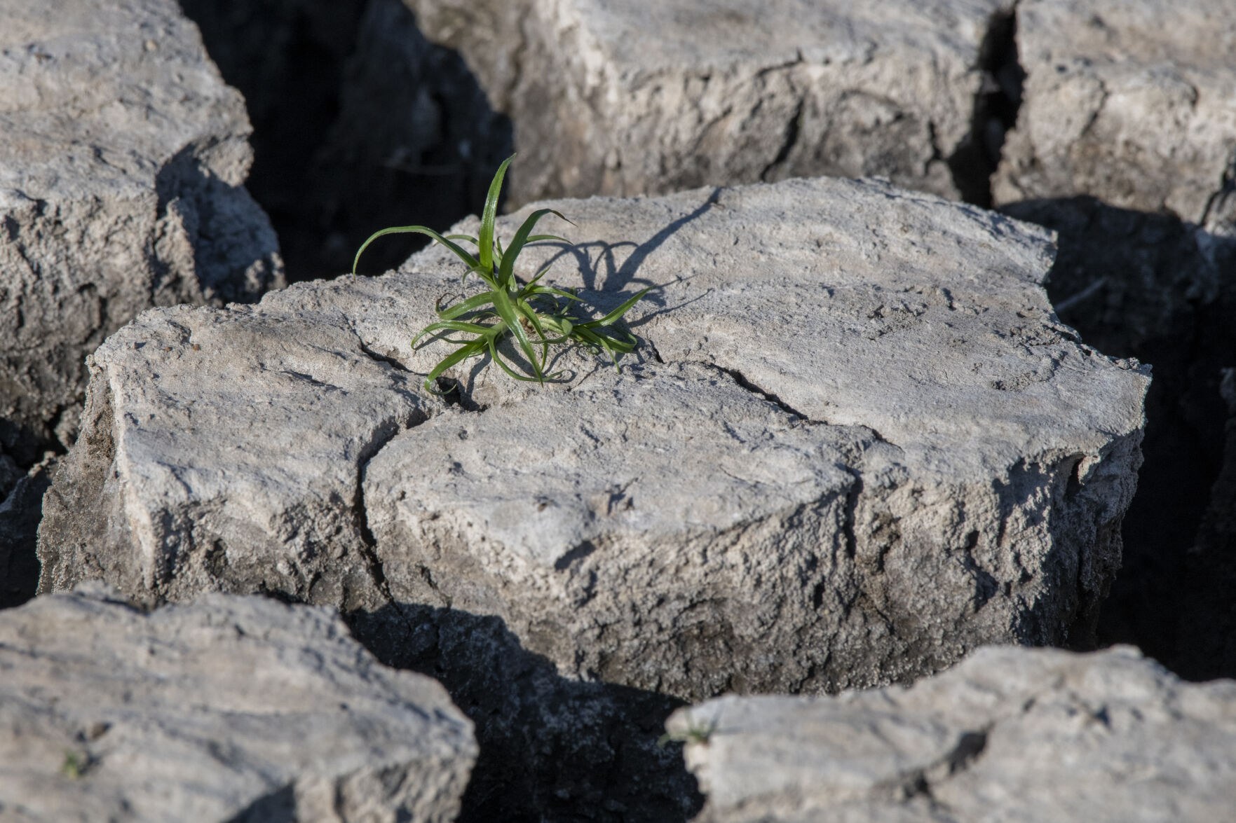 Signs of life